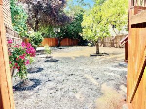 Backyard view from gate