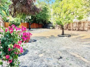 21moss-backyard1