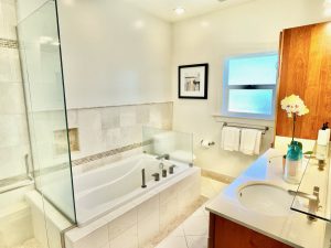 21moss-master-bath1